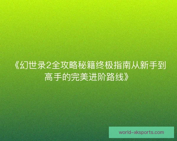 《幻世录2全攻略秘籍终极指南从新手到高手的完美进阶路线》