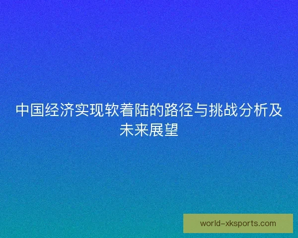 中国经济实现软着陆的路径与挑战分析及未来展望