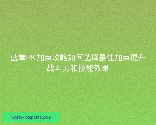 蓝拳PK加点攻略如何选择最佳加点提升战斗力和技能效果